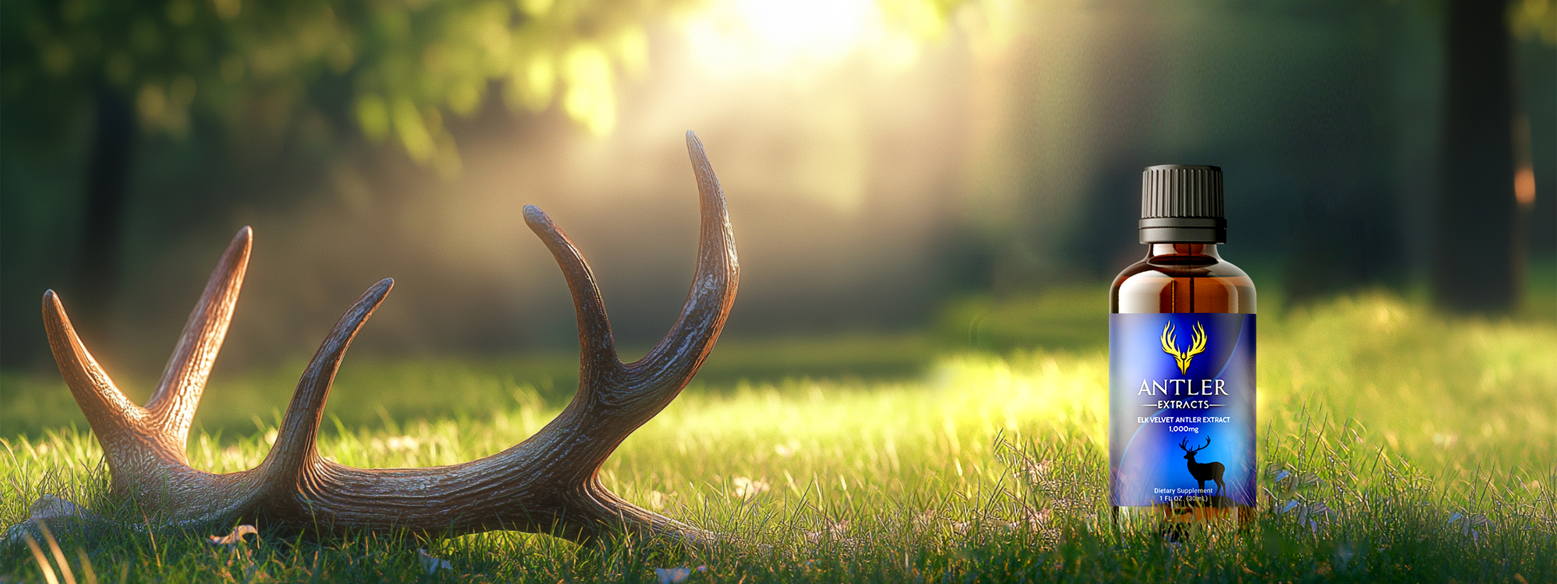 Essential-elk-velvet-antler-extract