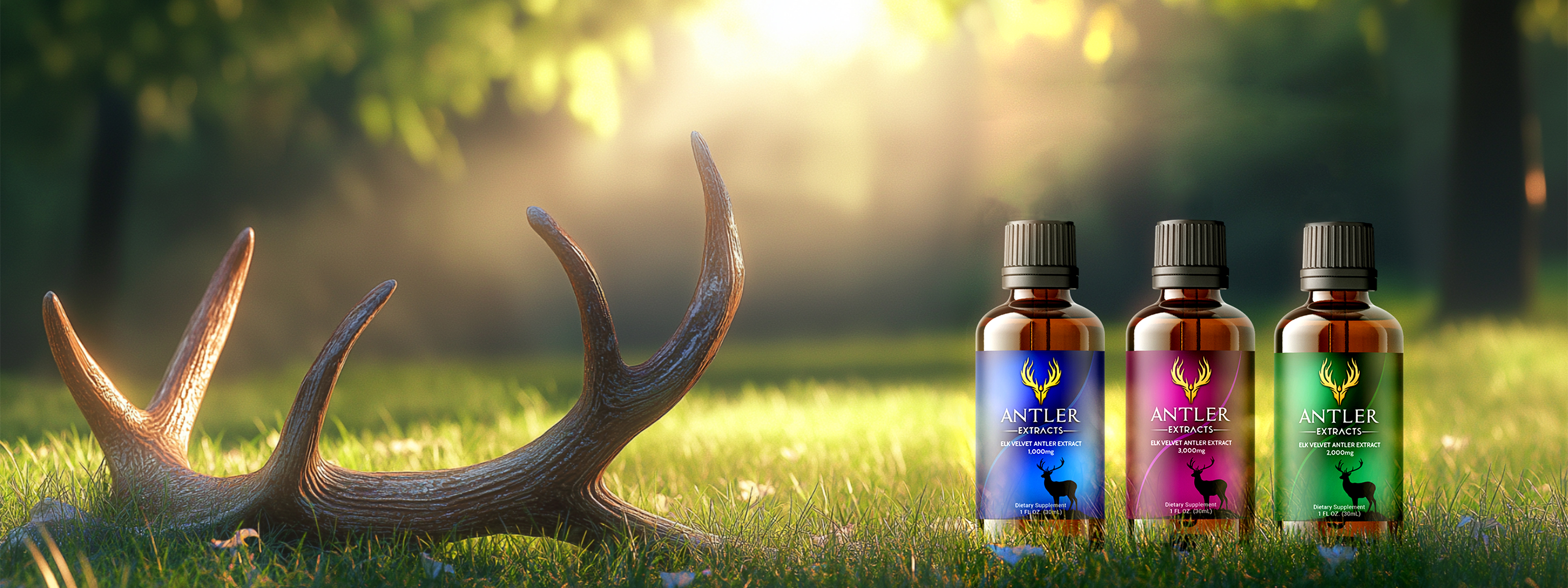 Pure elk velvet antler extract
